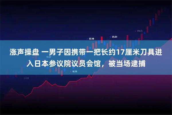 涨声操盘 一男子因携带一把长约17厘米刀具进入日本参议院议员会馆，被当场逮捕
