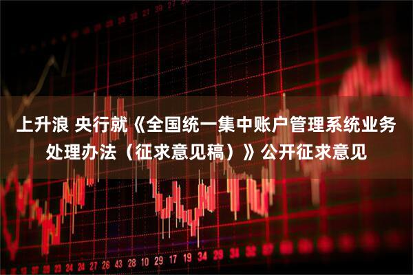 上升浪 央行就《全国统一集中账户管理系统业务处理办法（征求意见稿）》公开征求意见
