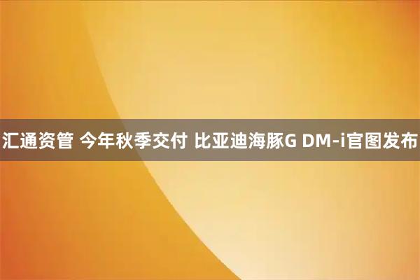 汇通资管 今年秋季交付 比亚迪海豚G DM-i官图发布