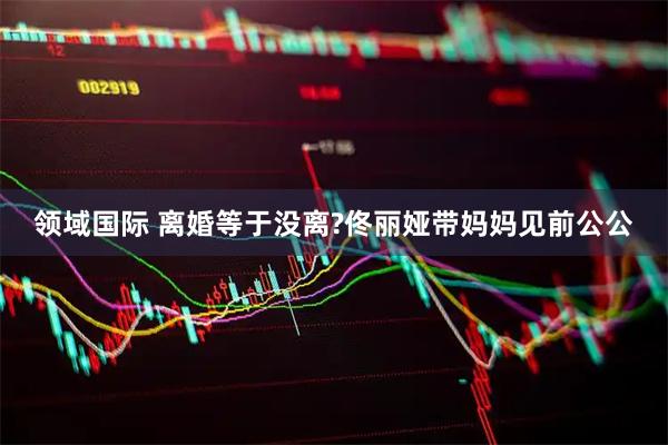领域国际 离婚等于没离?佟丽娅带妈妈见前公公