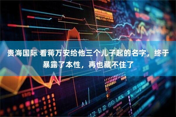 贵海国际 看蒋万安给他三个儿子起的名字，终于暴露了本性，再也藏不住了